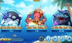 Bắn Cá Vua Hải Tặc 789Win
