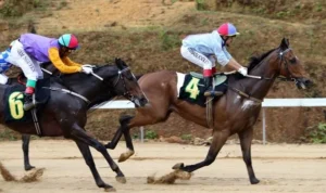 đua ngựa 789Win